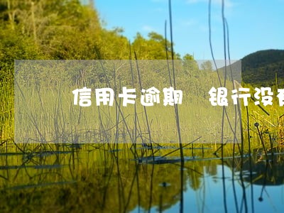 信用卡逾期 银行没有报案